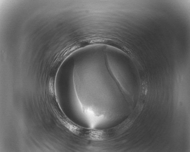 X0000086050143200703301116