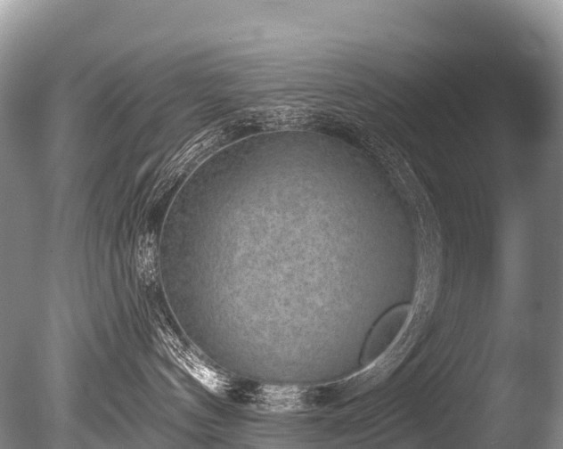 X0000086050144200703301116