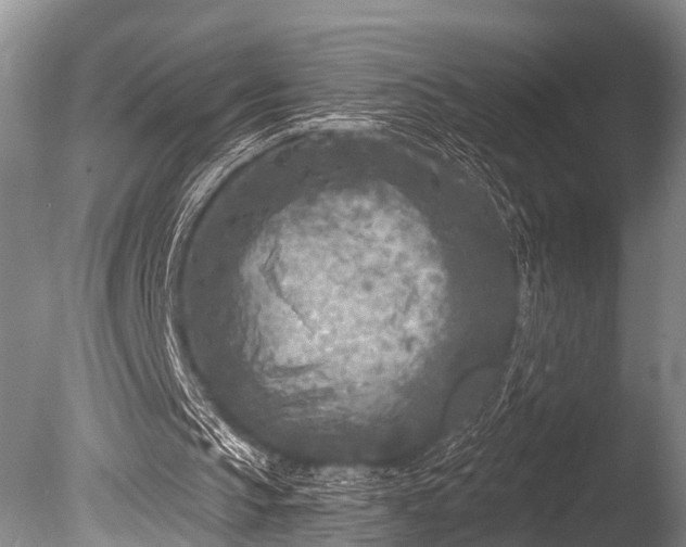 X0000086050145200703301115