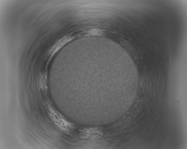 X0000086050146200703301115