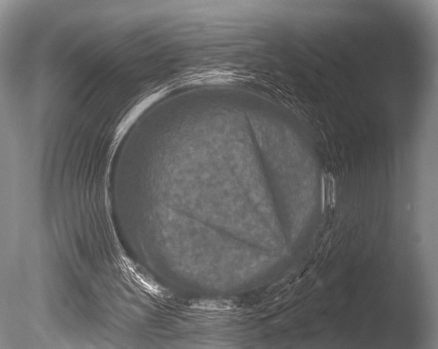 X0000086050147200703301115