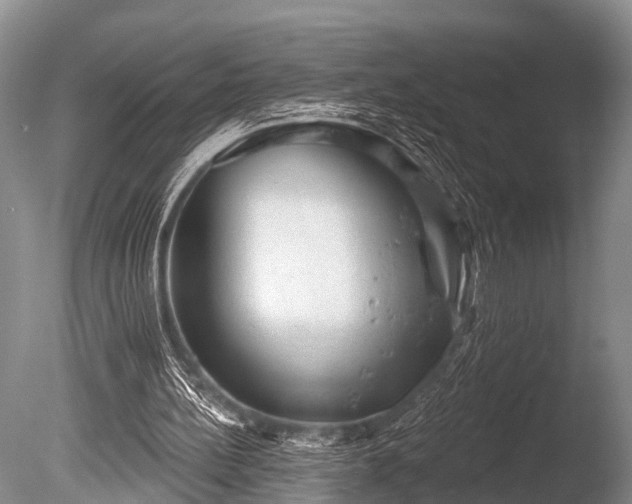 X0000086050148200703301115