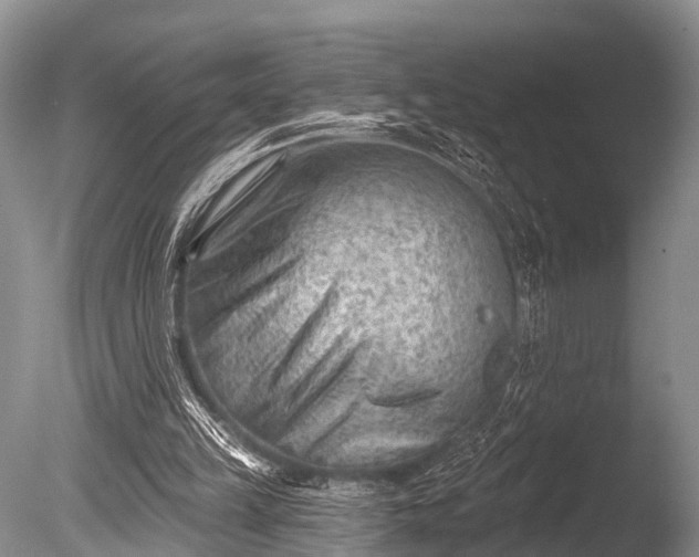 X0000086050149200703301115
