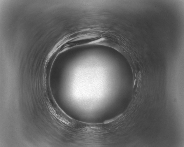 X0000086050150200703301115