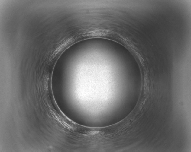 X0000086050153200703301115