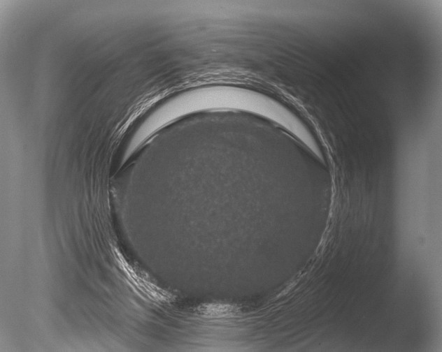 X0000086050154200703301115