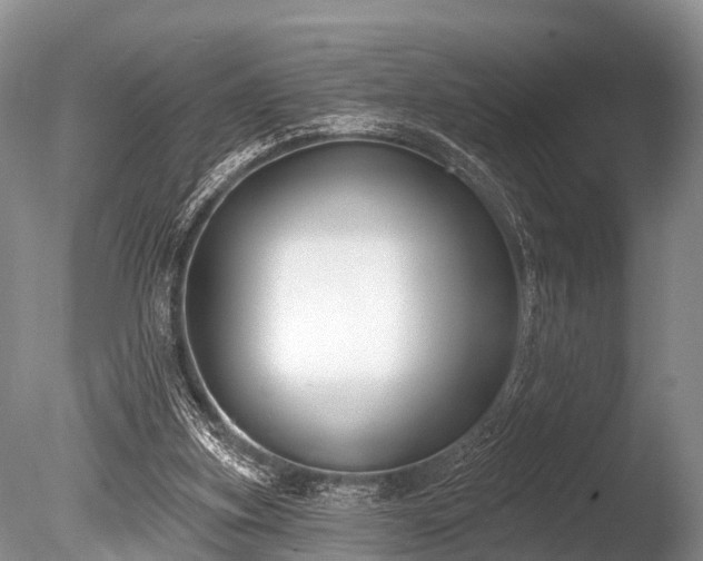 X0000086050155200703301115
