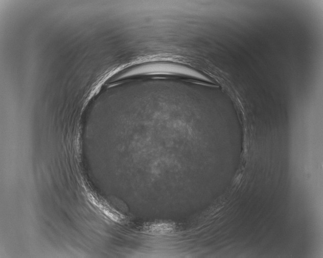 X0000086050156200703301115