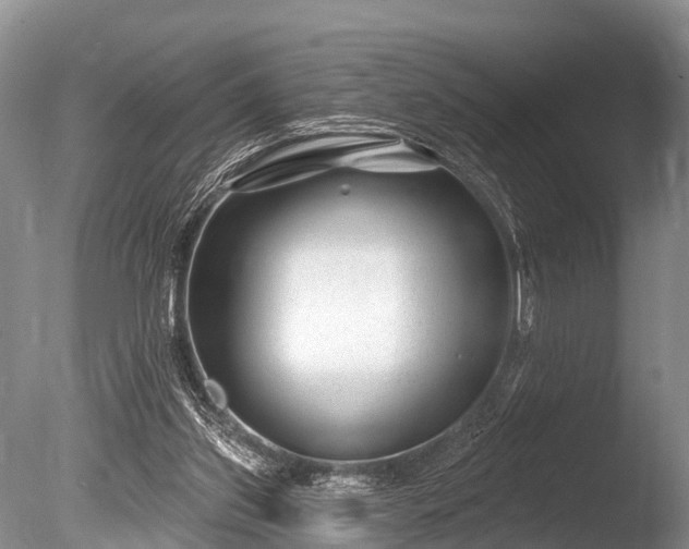 X0000086050157200703301115