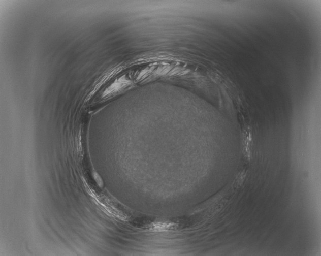 X0000086050158200703301115