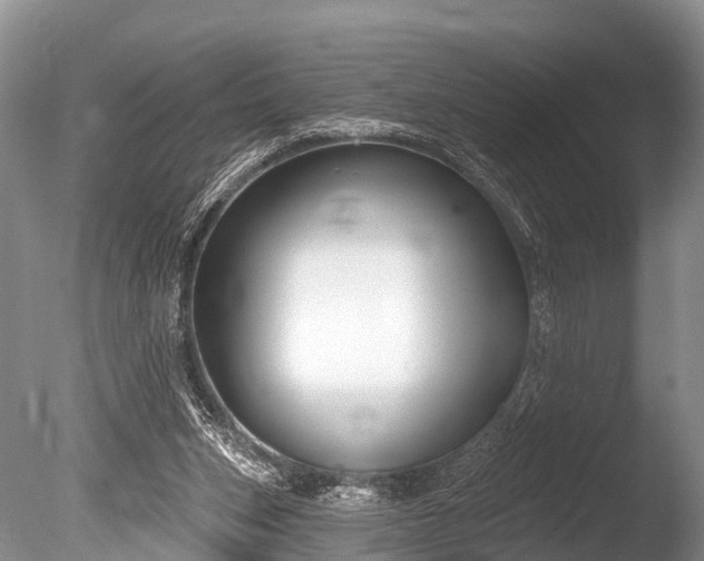 X0000086050159200703301115