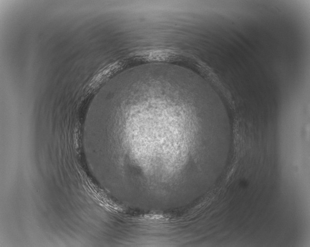 X0000086050161200703301115