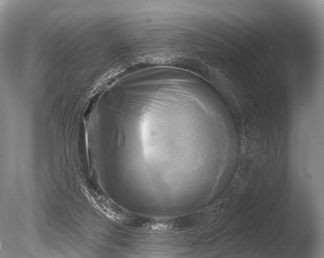 X0000086050163200703301115