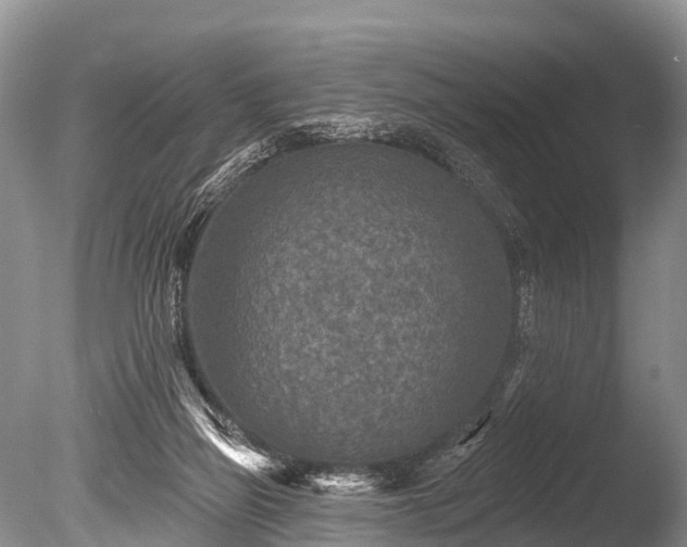 X0000086050165200703301115