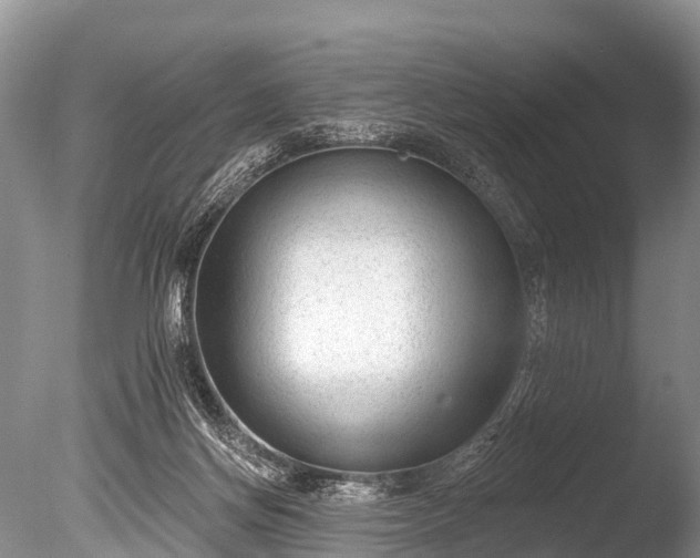 X0000086050166200703301115