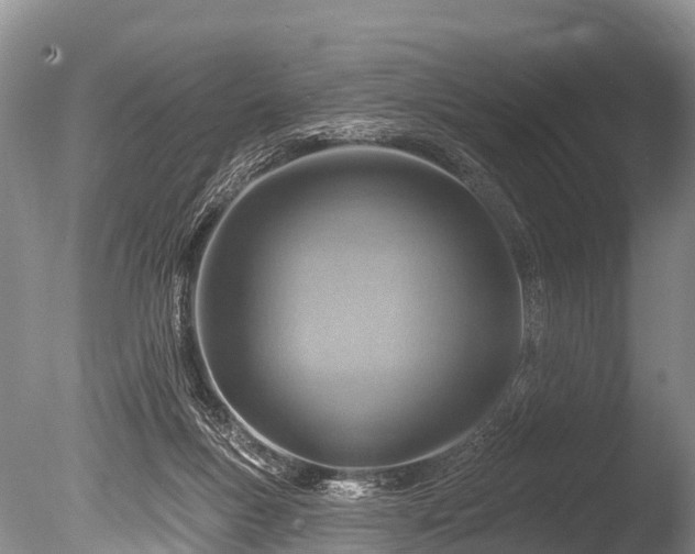 X0000086050167200703301115