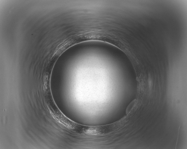 X0000086050171200703301115