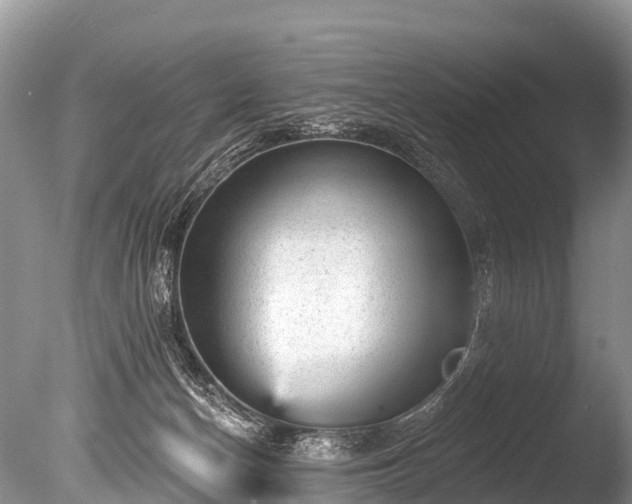 X0000086050174200703301115