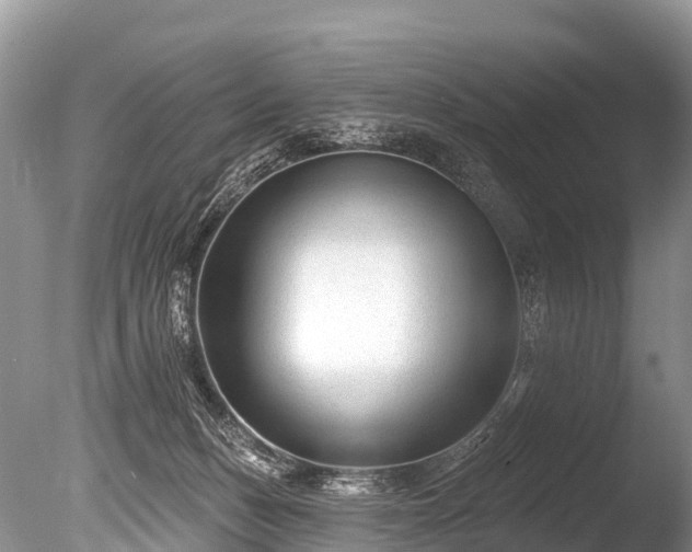 X0000086050175200703301115