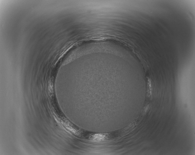 X0000086050176200703301115