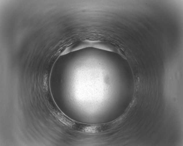 X0000086050178200703301115