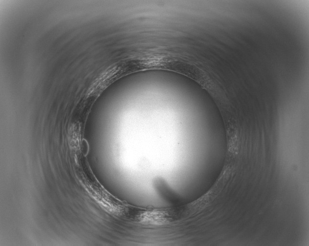 X0000086050179200703301115