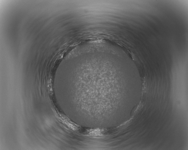 X0000086050182200703301115