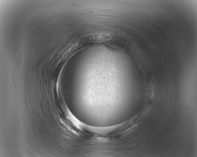X0000086050184200703301115