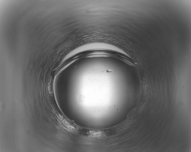 X0000086050185200703301115
