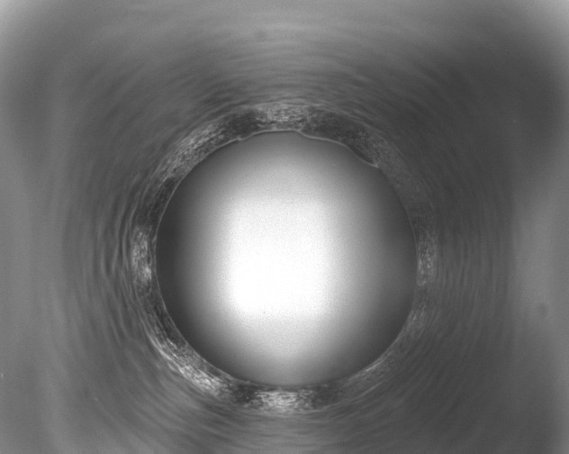X0000086050187200703301115