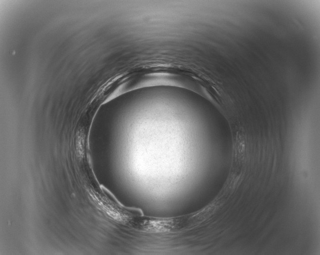 X0000086050188200703301115
