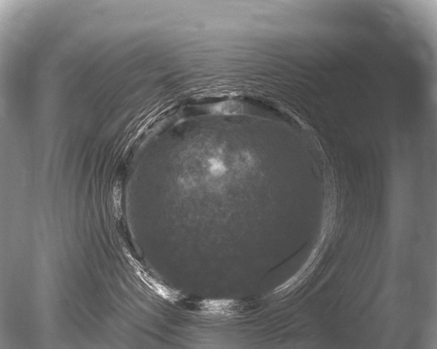 X0000086050192200703301116