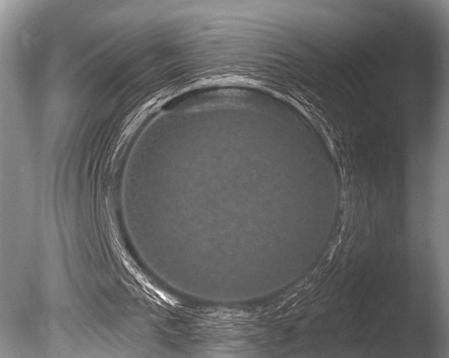 X0000086050193200703301115