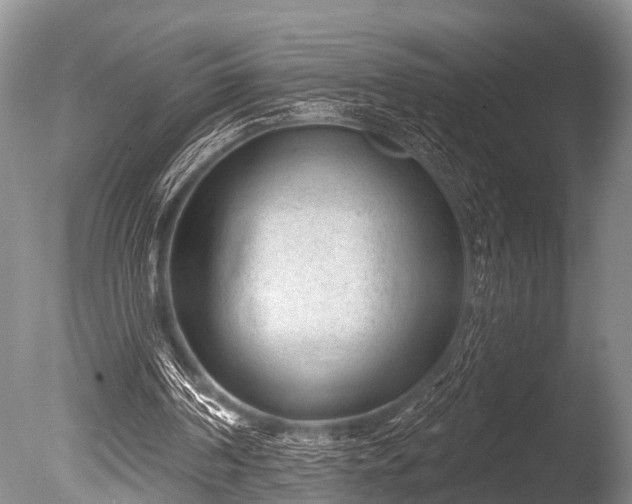 X0000086050194200703301115