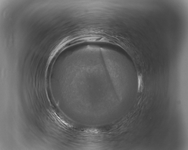 X0000086050195200703301115