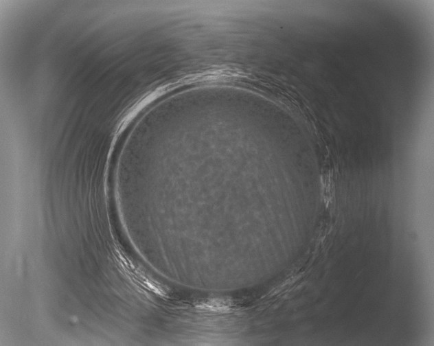 X0000086050196200703301115