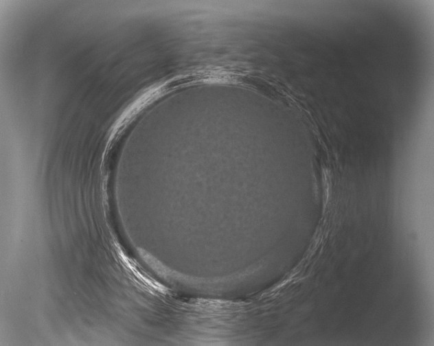X0000086050197200703301115