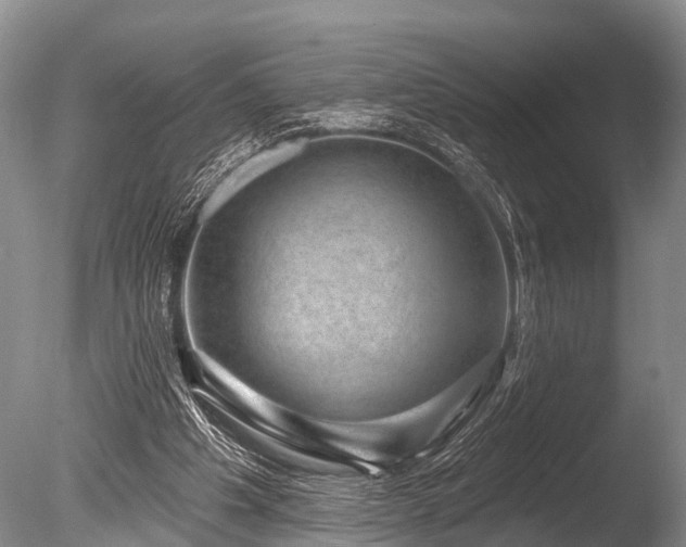 X0000086050201200703301115