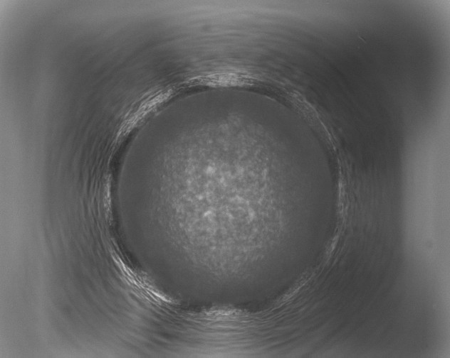 X0000086050202200703301115
