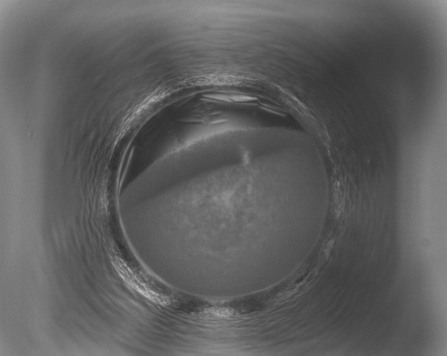 X0000086050203200703301115