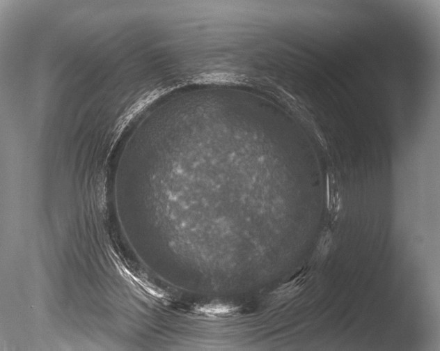 X0000086050204200703301115