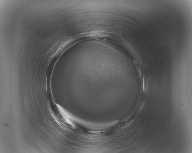 X0000086050205200703301115