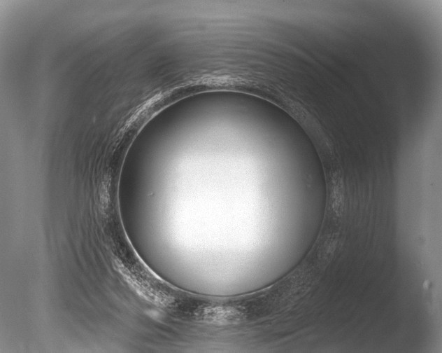X0000086050208200703301114