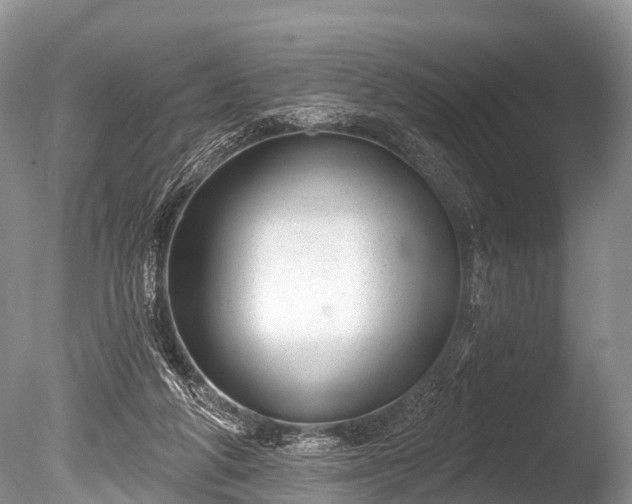 X0000086050210200703301114