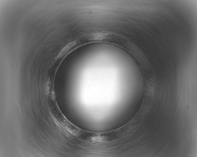X0000086050216200703301114
