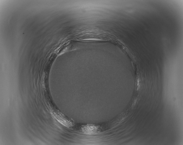 X0000086050217200703301114