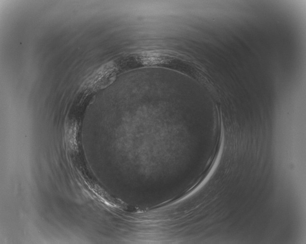 X0000086050219200703301114