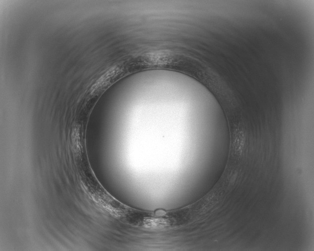 X0000086050220200703301114