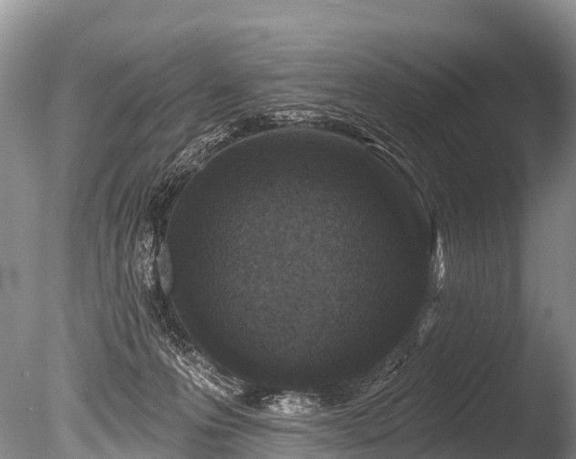 X0000086050223200703301114