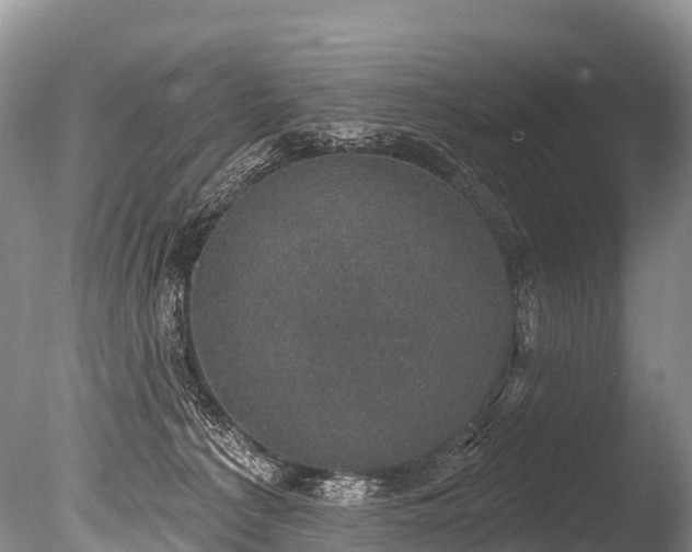 X0000086050225200703301114